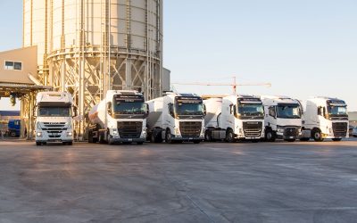 Rivendita all’ingrosso di cemento sfuso e sacchi